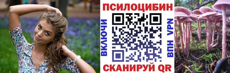 наркота  Всеволожск  Галлюциногенные грибы мухоморы 