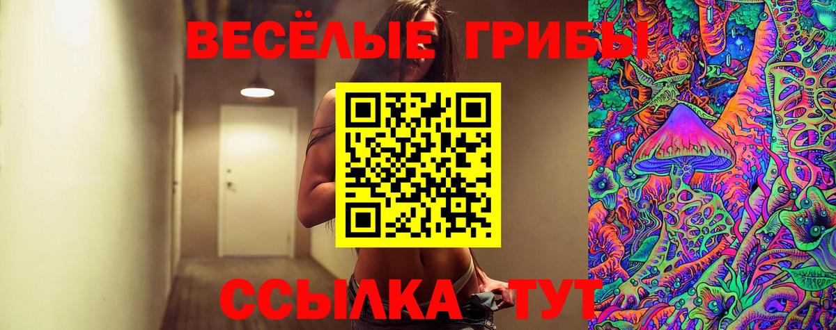 как найти закладки  Всеволожск  Псилоцибиновые грибы Psilocybe 
