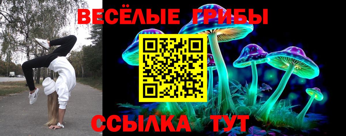 Псилоцибиновые грибы ЛСД  Псилоцибиновые грибы MAGIC MUSHROOMS  Всеволожск  Вход с VPN 