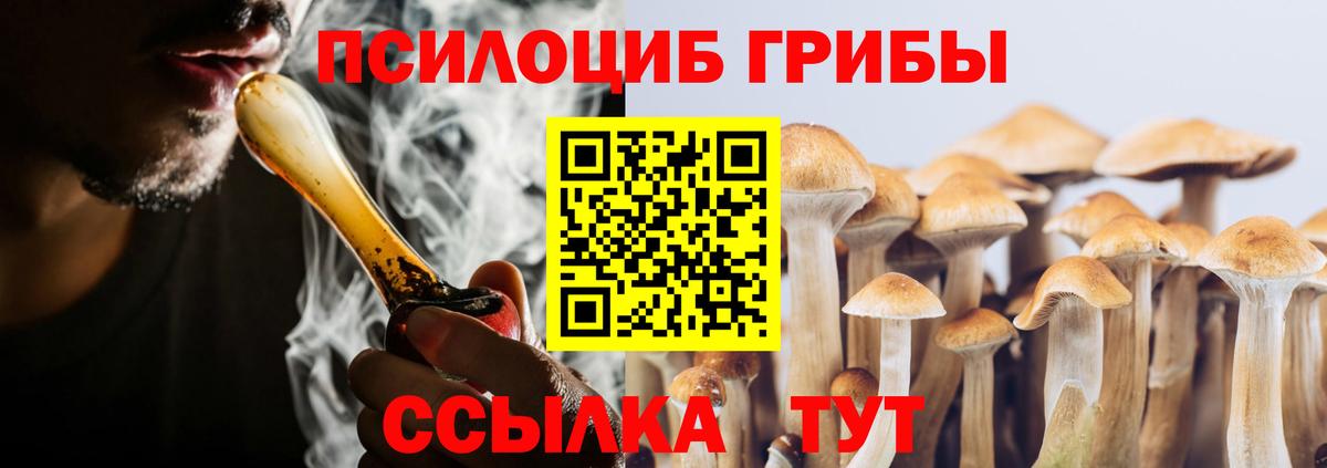 Галлюциногенные грибы мицелий Всеволожск